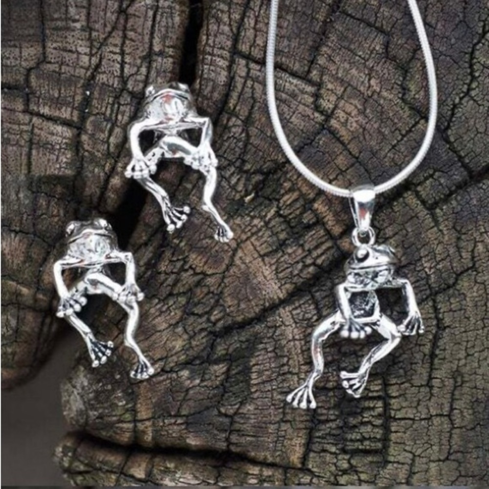 Frog Earring and Necklace Set Jewelry Silver Finish Pierced Earring Unisex.